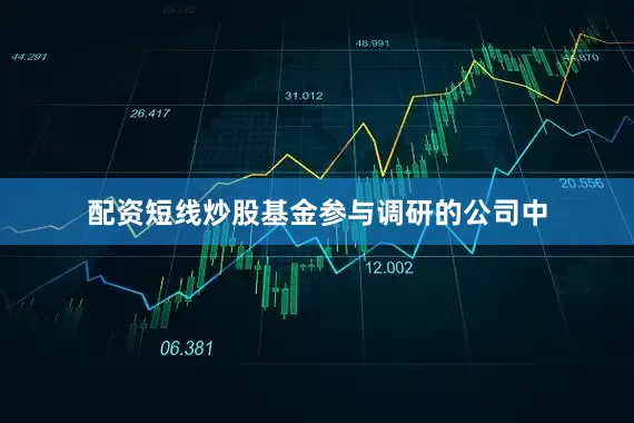 配资短线炒股基金参与调研的公司中